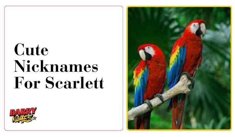 Cute Nicknames For Scarlett