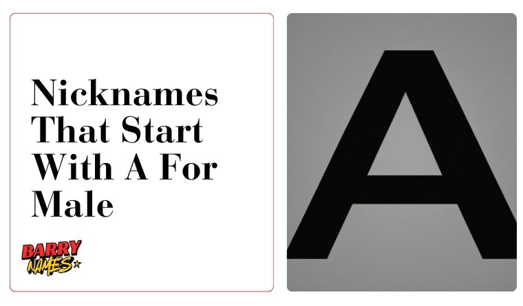 Nicknames That Start With A For Male