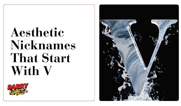 Aesthetic Nicknames That Start With V