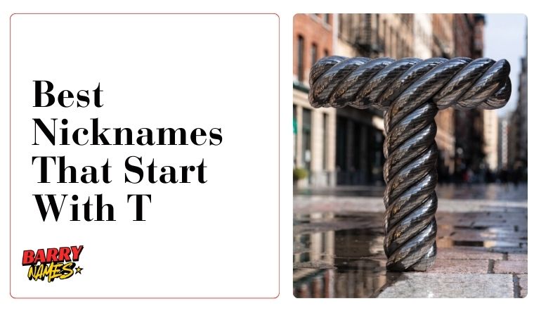 Best Nicknames That Start With T