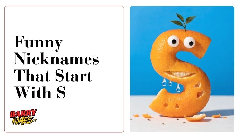 Funny Nicknames That Start With S