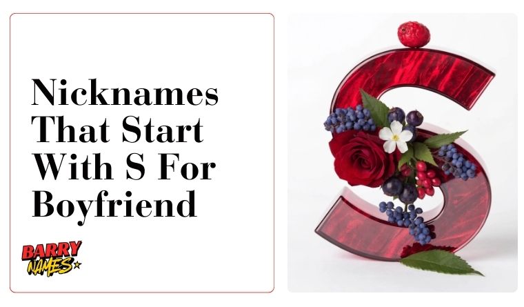 Nicknames That Start With S For Boyfriend