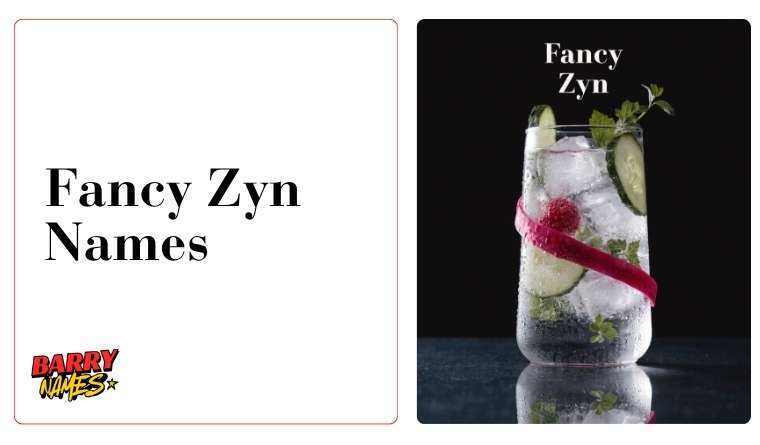 Fancy Zyn Names