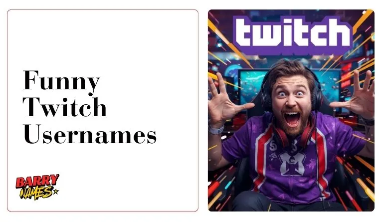 Funny Twitch Usernames