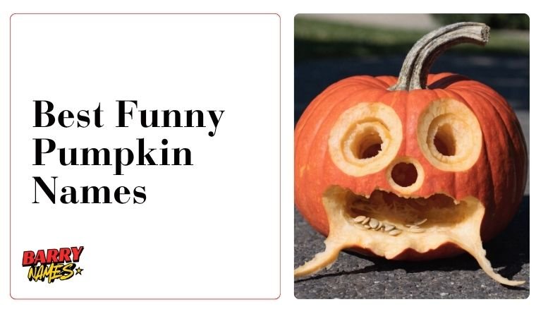 Best Funny Pumpkin Names