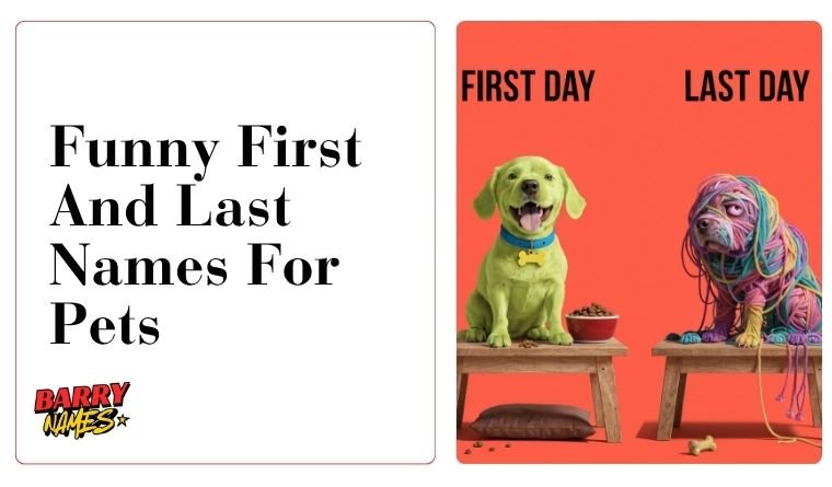 Funny First And Last Names For Pets