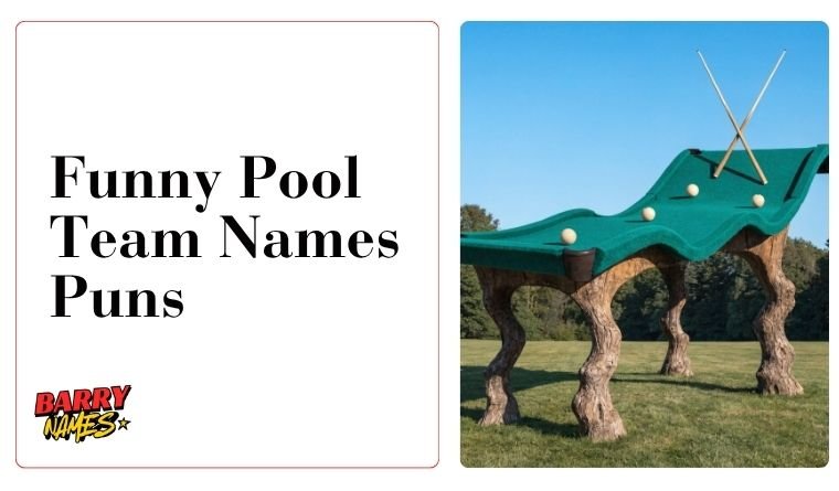 Funny Pool Team Names Puns
