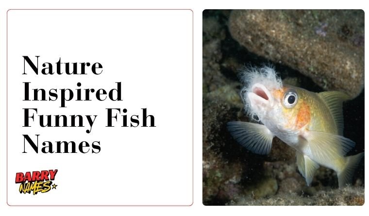Nature Inspired Funny Fish Names