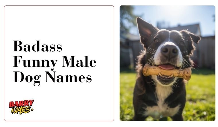 Badass Funny Male Dog Names
