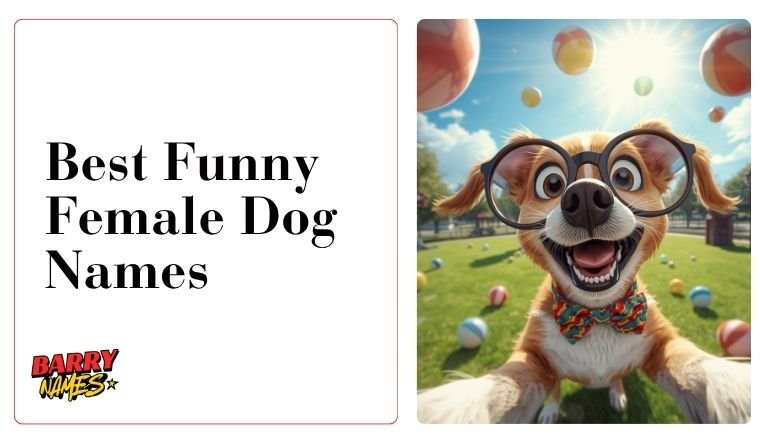 Best Funny Female Dog Names