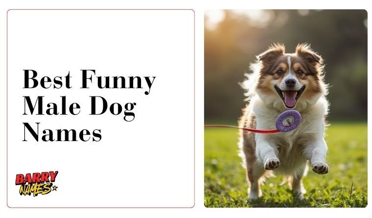 Best Funny Male Dog Names