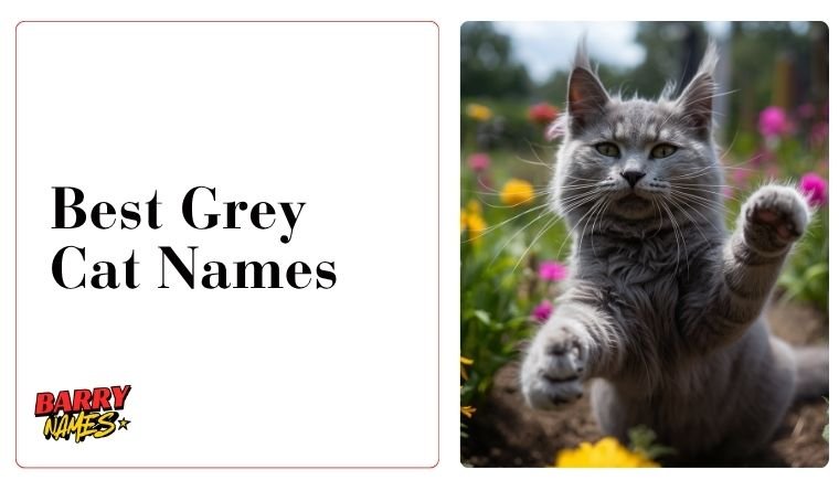 Best Grey Cat Names