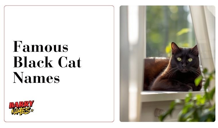 Famous Black Cat Names
