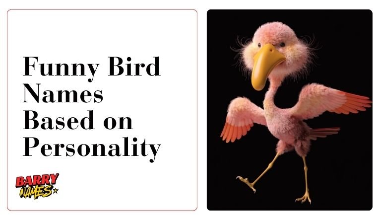 Funny Bird Names Based on Personality