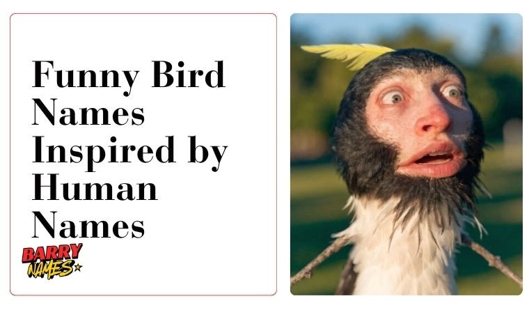 Funny Bird Names Inspired by Human Names