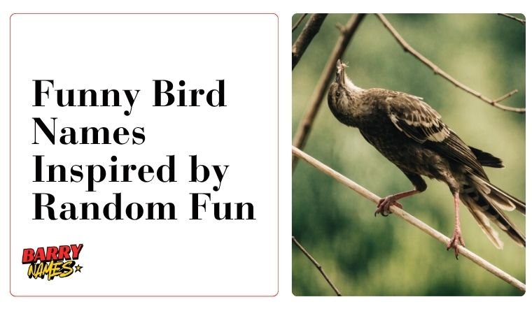 Funny Bird Names Inspired by Random Fun