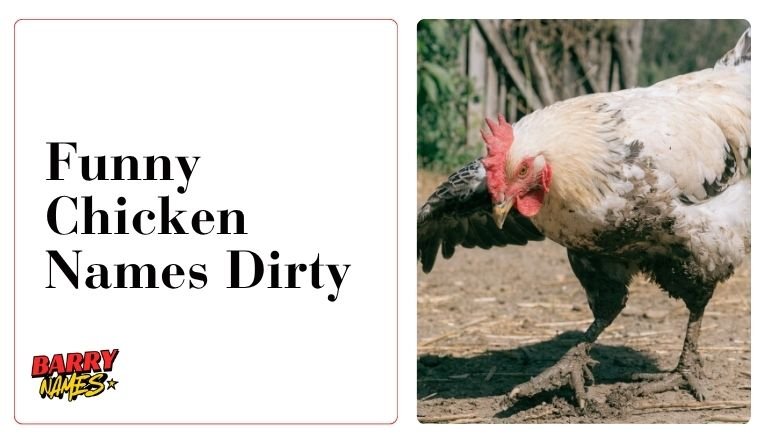 Funny Chicken Names Dirty