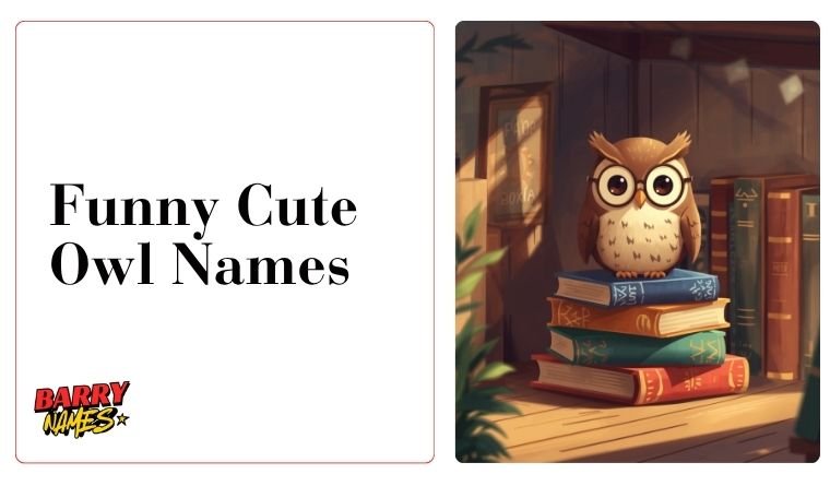 Funny Cute Owl Names