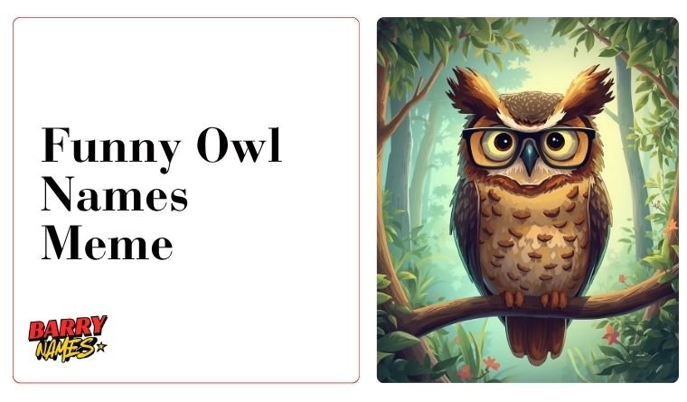 Funny Owl Names Meme