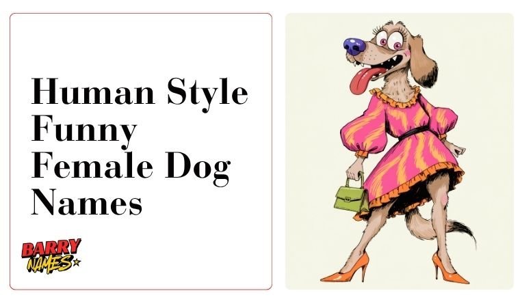 Human Style Funny Female Dog Names