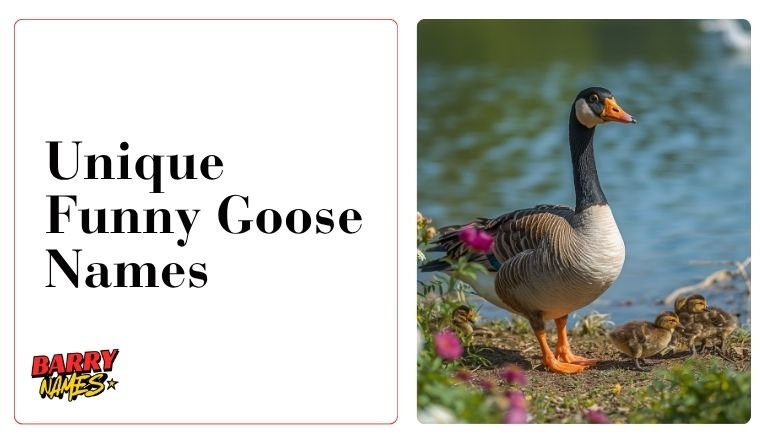 Unique Funny Goose Names