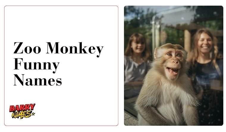Zoo Monkey Funny Names