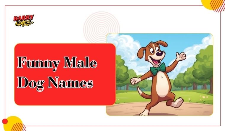 Funny Male Dog Names