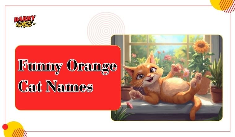 Funny Orange Cat Names