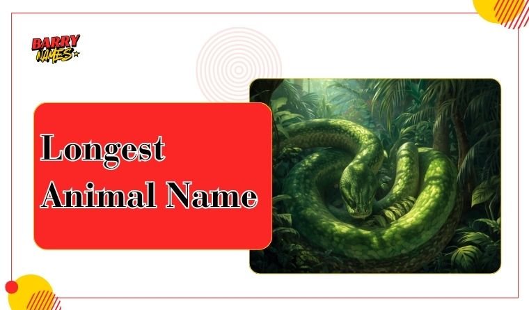 Longest Animal Name